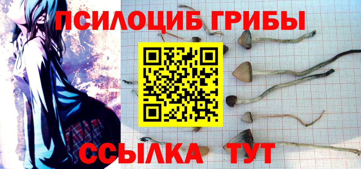 Клин  Галлюциногенные грибы мухоморы  дарнет шоп  Вход с VPN  Псилоцибиновые грибы ЛСД 