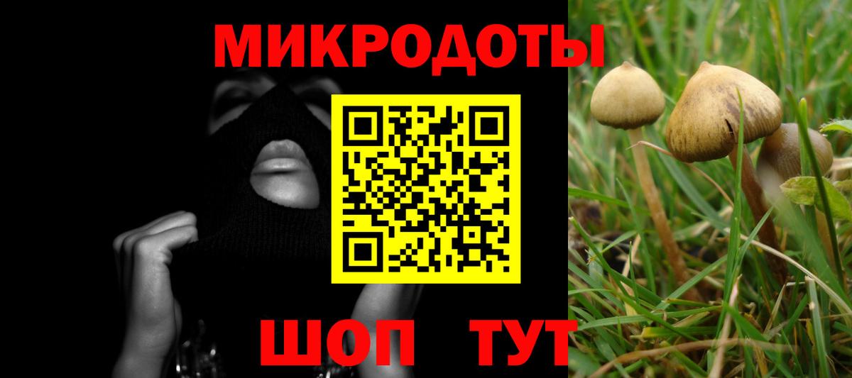 Галлюциногенные грибы прущие грибы Клин